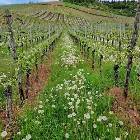 アパート Familie Jonas シュヴァイヒ