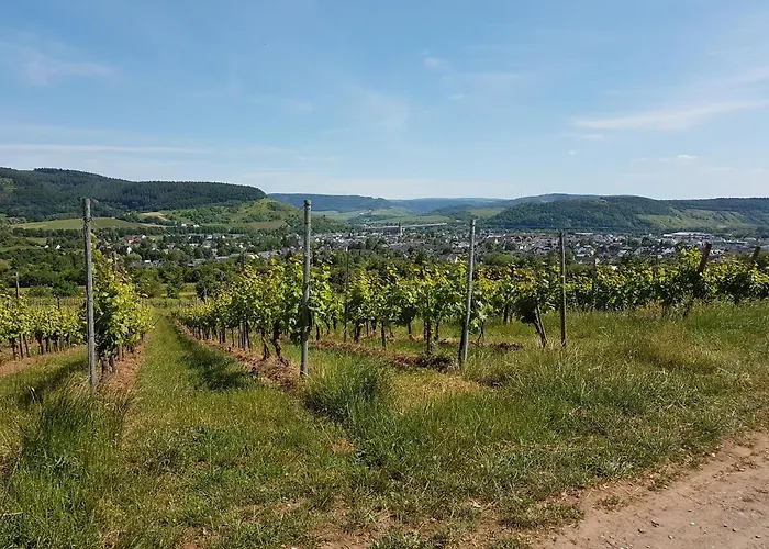 Familie Jonas Apartman *